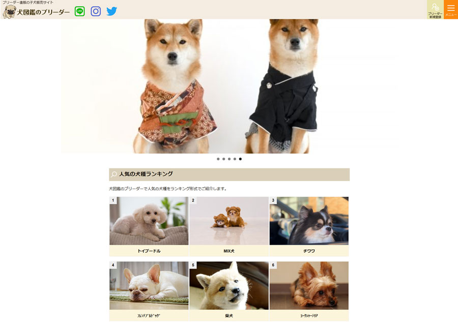 犬図鑑のブリーダー様サイト制作