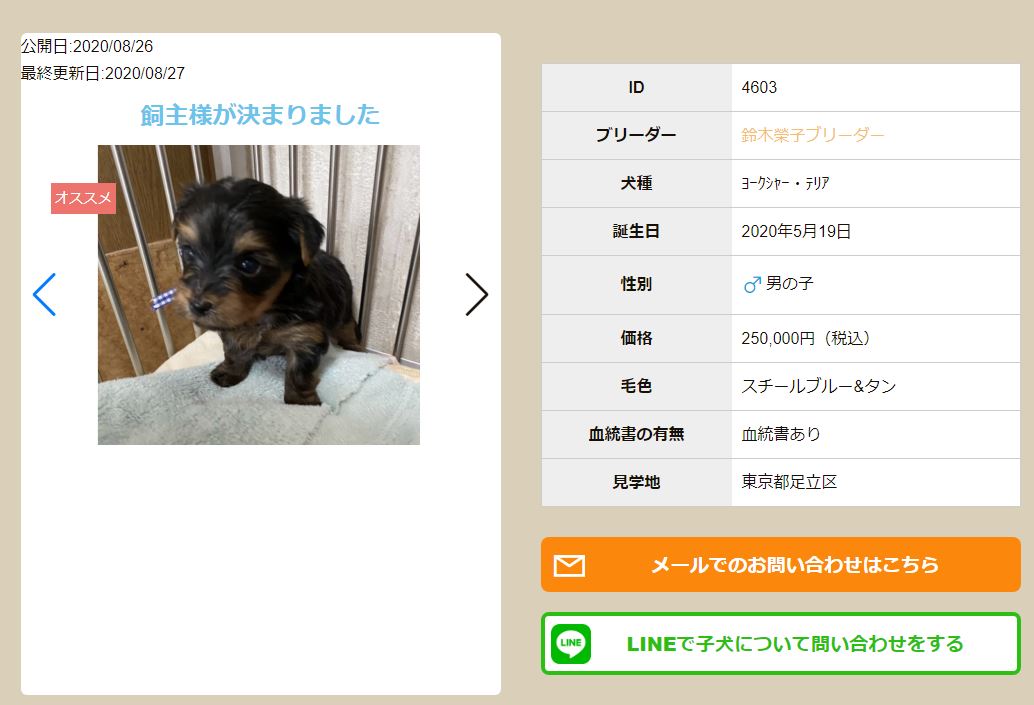 犬図鑑のブリーダー様サイト制作